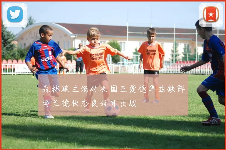 森林狼主场对决国王爱德华兹缺阵海兰德状态良好可出战