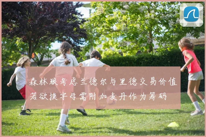 森林狼考虑兰德尔与里德交易价值若欲换字母需附加麦丹作为筹码